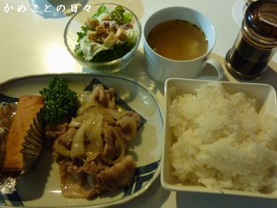 P1720656-din.jpg