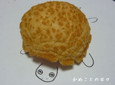 P1750421-kame.jpg