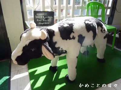 P1750485-cow.jpg