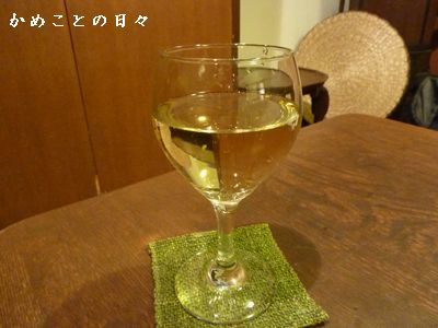 P1750760-vin.jpg
