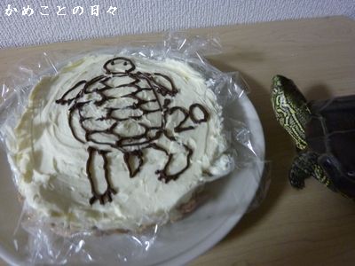 P1760202-suke.jpg