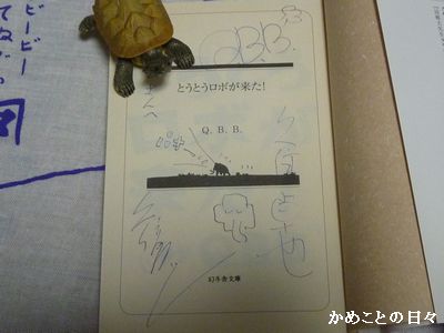 P1790493-qbb.jpg