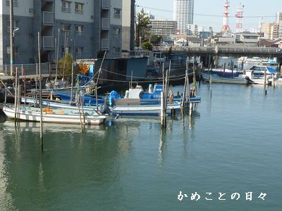 P1820303-shi.jpg