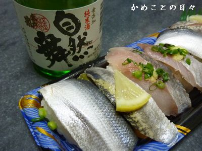 P1830075-suke.jpg