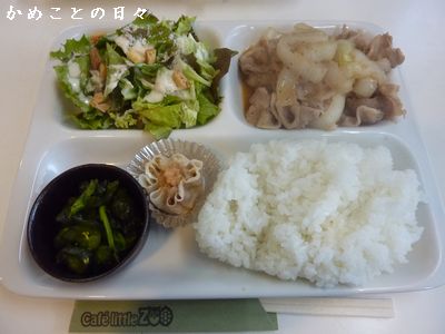 P1830520-lun.jpg