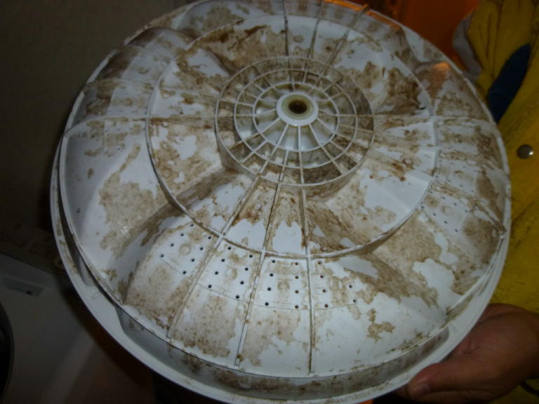 P1000472_1_1.jpg