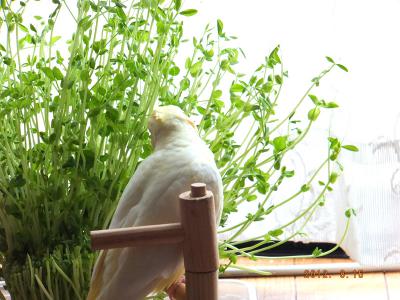 1_20120817091455.jpg