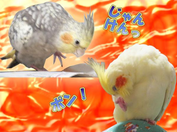 名称未設定 1