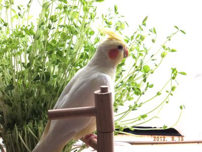 3_20120817091453.jpg