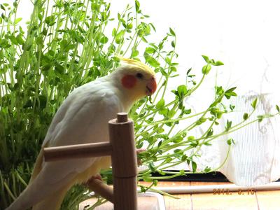 4_20120817091452.jpg
