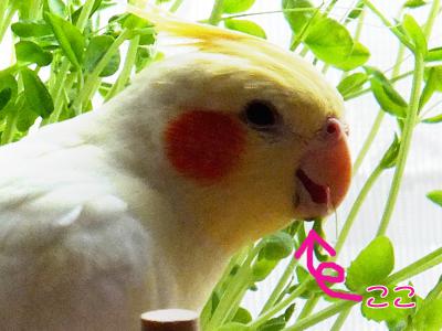 5_20120817093348.jpg