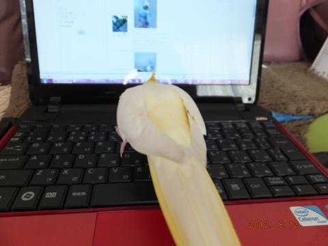 DSCF2010.jpg