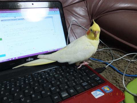 DSCF2025.jpg