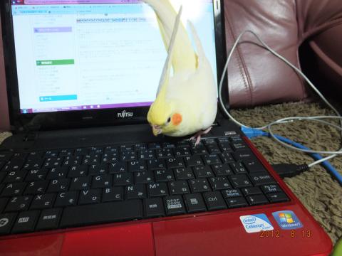 DSCF2026.jpg