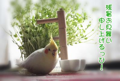 DSCF2051.jpg