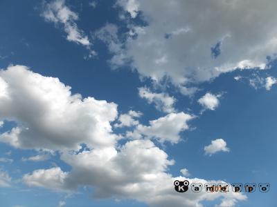 DSCF2084.jpg