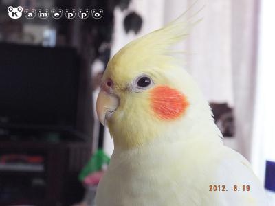 DSCF2088.jpg