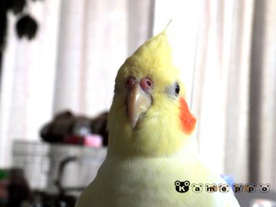 DSCF2089.jpg