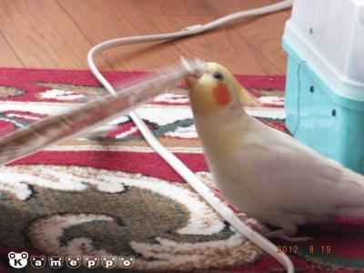 DSCF2090.jpg