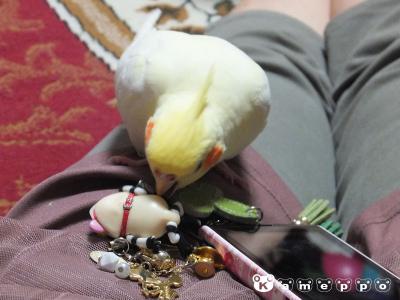 DSCF2103.jpg