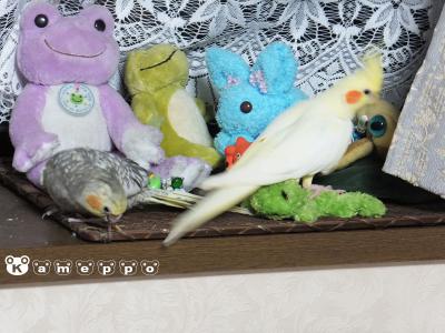 DSCF2151.jpg