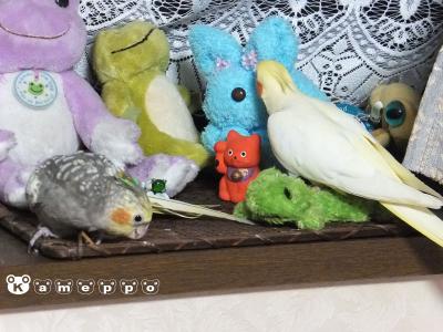DSCF2152.jpg