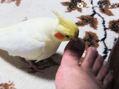 DSCF2162.jpg