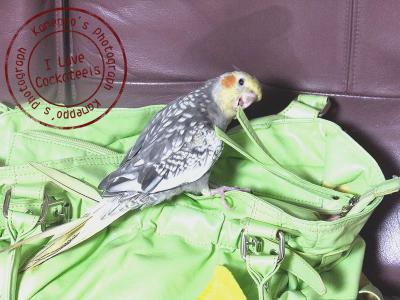 DSCF2191.jpg