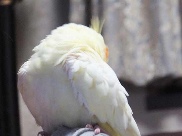 DSCF2222.jpg