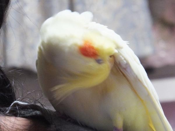 DSCF2224.jpg
