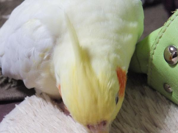DSCF2228.jpg