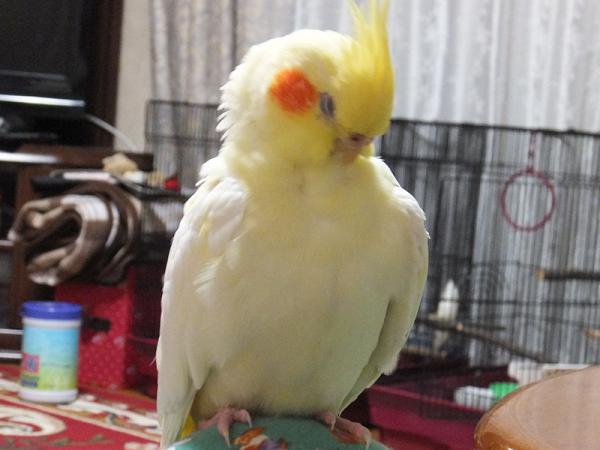 DSCF2257.jpg