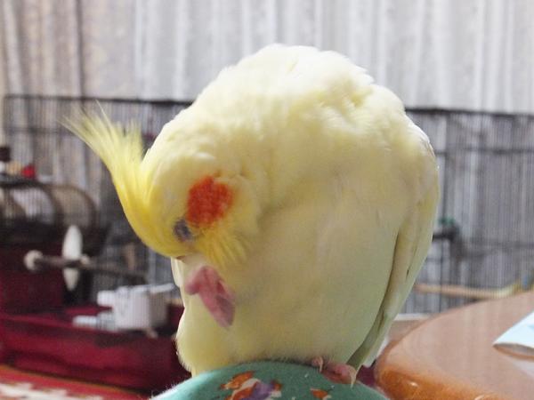 DSCF2261.jpg