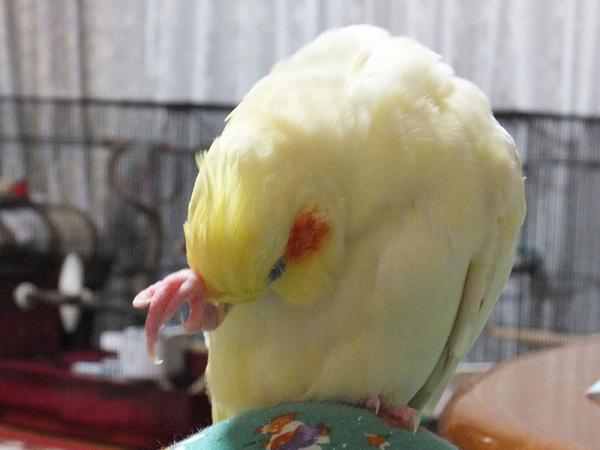DSCF2262.jpg