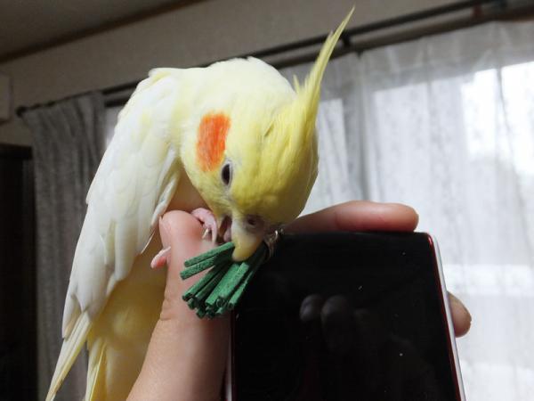 DSCF2320.jpg