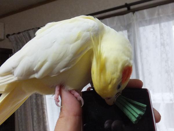 DSCF2321.jpg