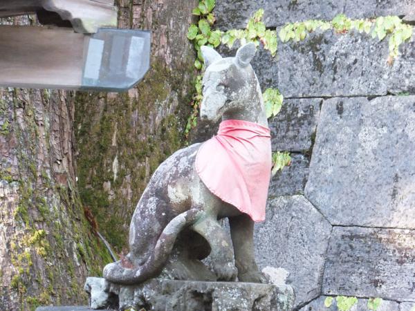DSCF2359.jpg