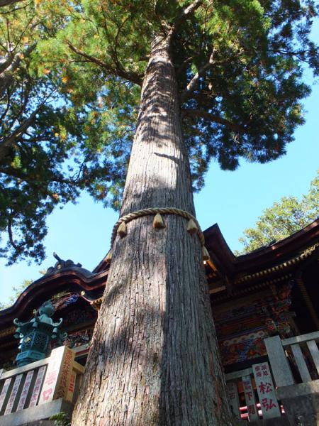 DSCF2363.jpg