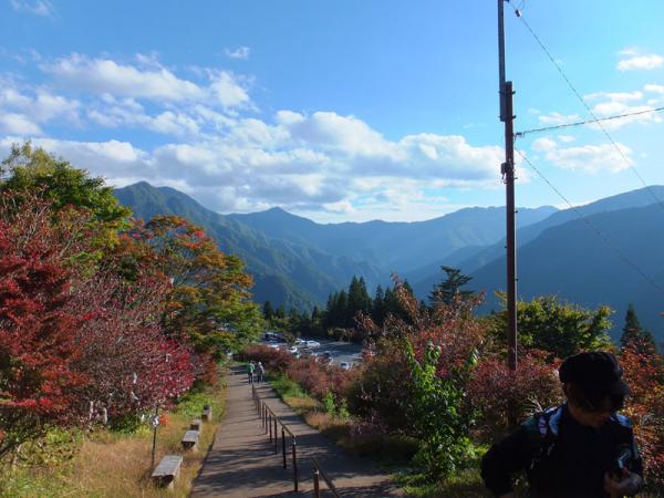 DSCF2381.jpg