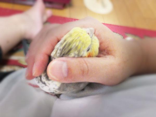 DSCF2393.jpg