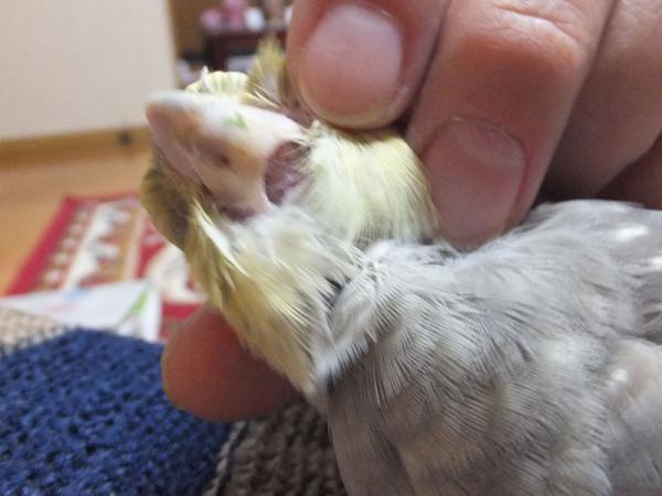 DSCF2406.jpg