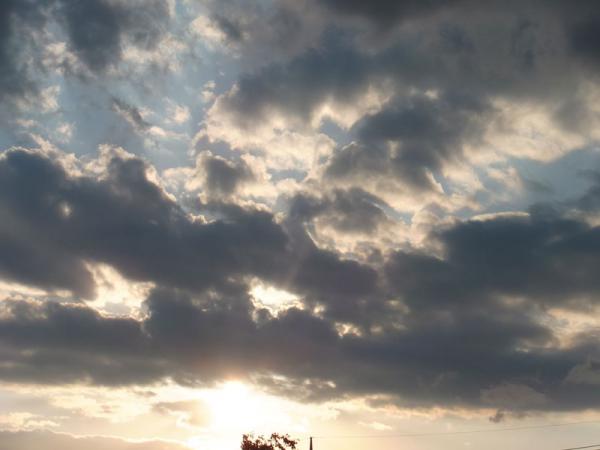 DSCF2425.jpg