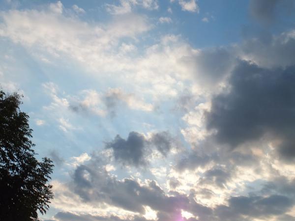 DSCF2427.jpg