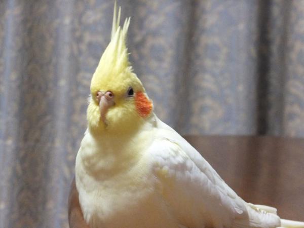 DSCF2537.jpg