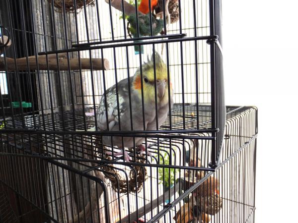 DSCF2558.jpg
