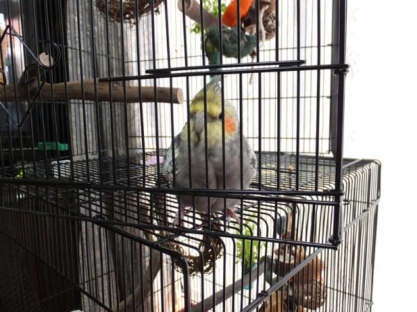 DSCF2559.jpg