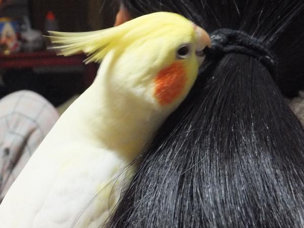 DSCF2572.jpg