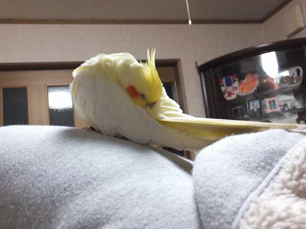 DSCF2613.jpg
