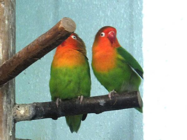 DSCF2630.jpg