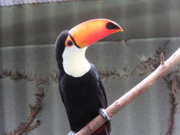 DSCF2632.jpg